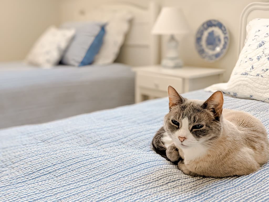 bonus room sleeping quarters