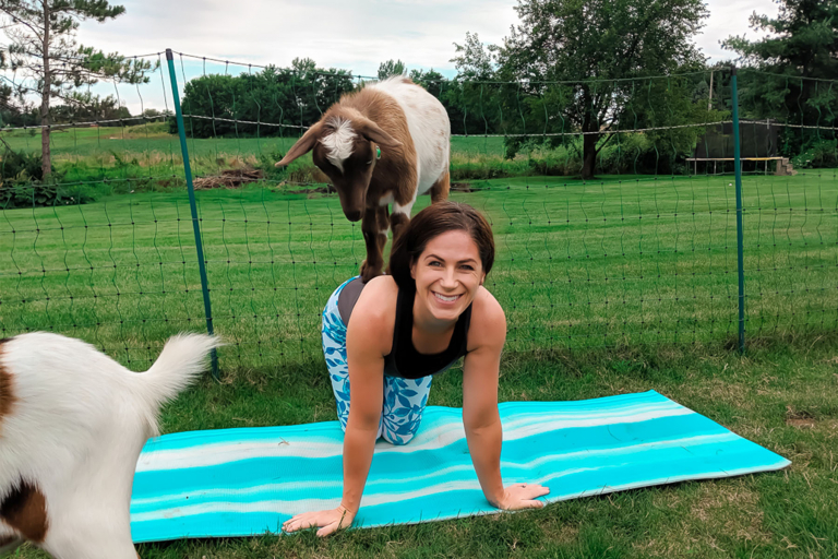goat yoga