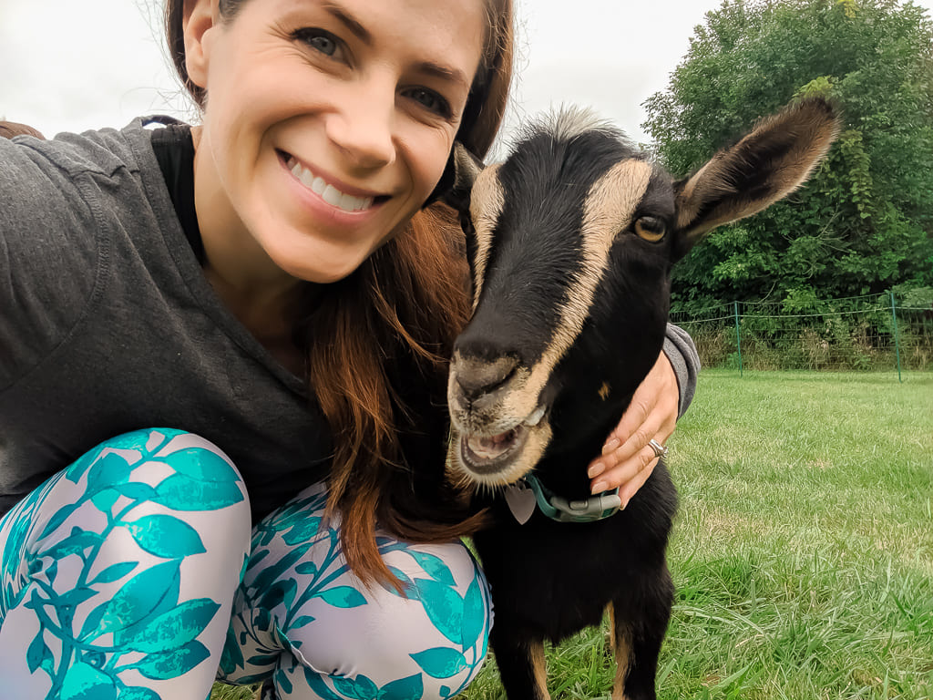 goat yoga elgin
